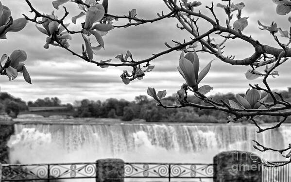 Niagara Falls Poster featuring the photograph Niagara American Falls Spring by Charline Xia
