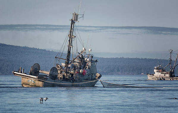 Seiner Poster featuring the photograph Nita Dawn Closing by Randy Hall