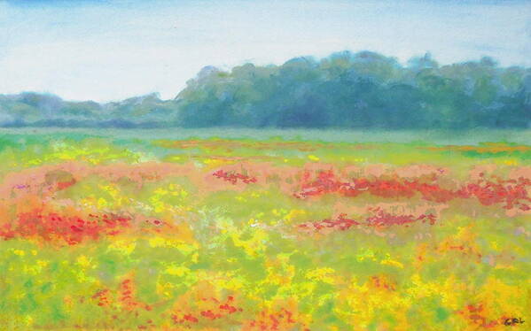 Fine Art Poster featuring the painting North Carolina Wildflowers Landscape Original Fine Art Painting by G Linsenmayer