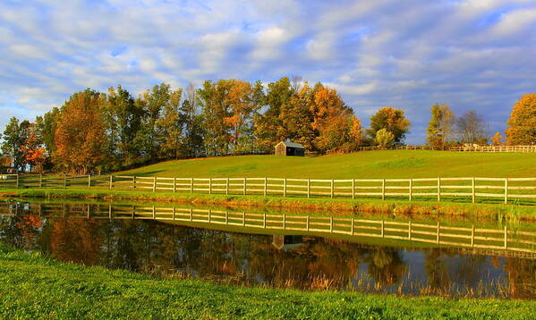 Farm Poster featuring the photograph October Reflections by Suzanne DeGeorge