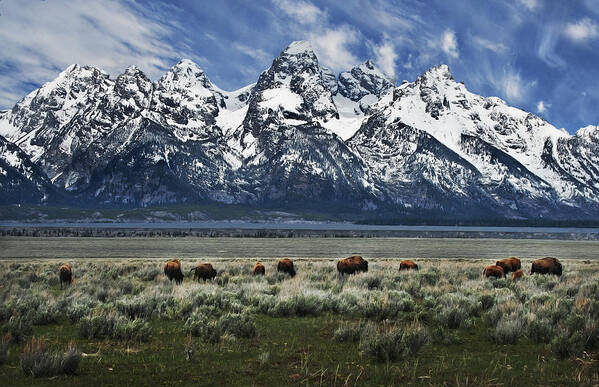 Mountains Poster featuring the photograph On to Greener Pastures by John Christopher