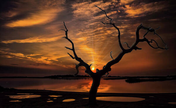 Oyster Landing Poster featuring the photograph Oyster Landing Sunrise by Joe Granita