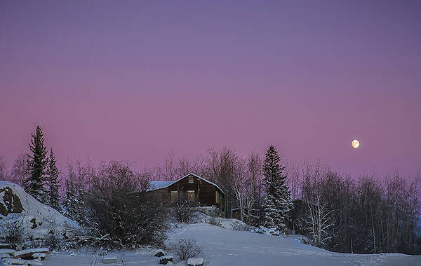 Nature Poster featuring the photograph Pink Sky At Night by Valerie Pond
