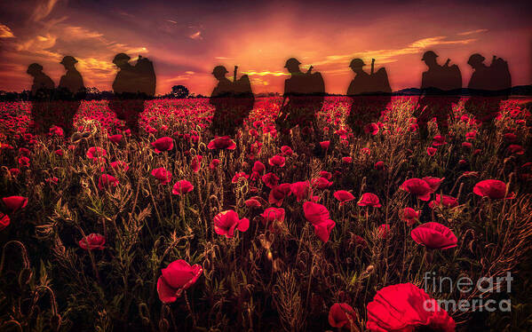 Soldier Poster featuring the digital art Poppy Walk by Airpower Art