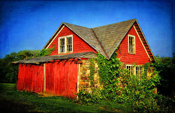 Red Shed In The Sunlight Poster featuring the photograph Red Shed in the Sunlight by Carolyn Derstine