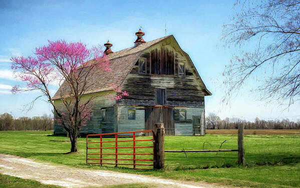 Barn Poster featuring the photograph Redbud and Barn by James Barber