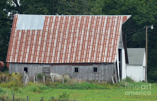 Rust Roof Pattern Barn Metal Farm Poster featuring the photograph Repetative Roof 4012 by Ken DePue
