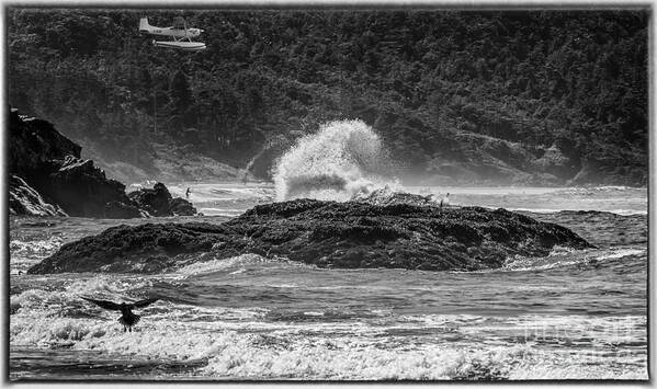 Sea Poster featuring the photograph Rocky Coast by Barry Weiss
