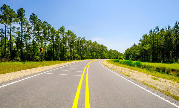 Alabama Poster featuring the photograph Rural Highway by Raul Rodriguez