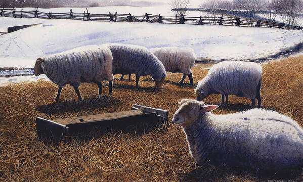 Sheep Poster featuring the painting Sheepish by Denny Bond