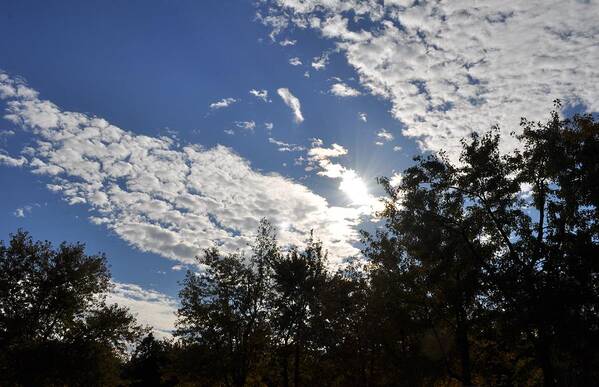 Sunny Sky Poster featuring the photograph Shine and Smile by Georgeta Blanaru