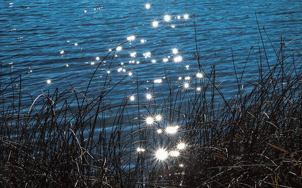 Riverbend Ponds Poster featuring the photograph Sparkles at Riverbend Ponds by Monte Stevens