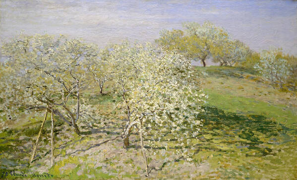 Claude Monet Poster featuring the painting Spring. Fruit Trees in Bloom by Claude Monet