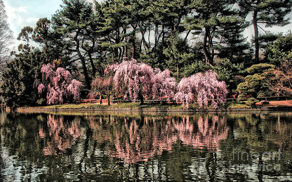 Landscape Poster featuring the photograph Spring Reflections by Onedayoneimage Photography