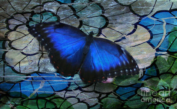 Butterfly Poster featuring the photograph Landing On Stained Glass by Barbara S Nickerson