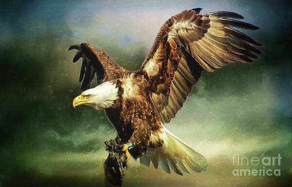 Eagle Poster featuring the photograph Standing Against the Storm by Eleanor Abramson