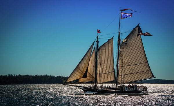 Schooner Poster featuring the photograph Stephen Taber by Fred LeBlanc
