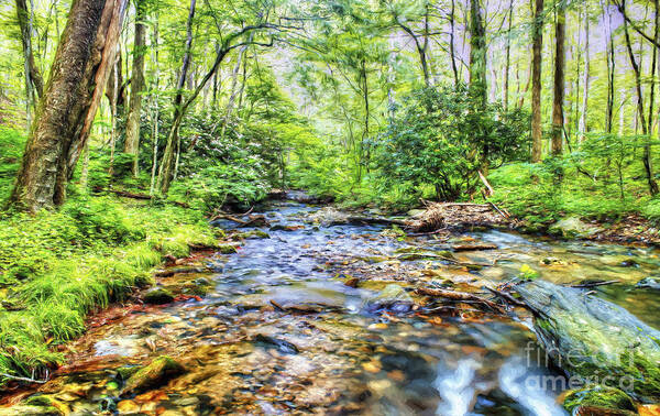 Rock Castle Creek Poster featuring the photograph Summer in Virginia by Darren Fisher