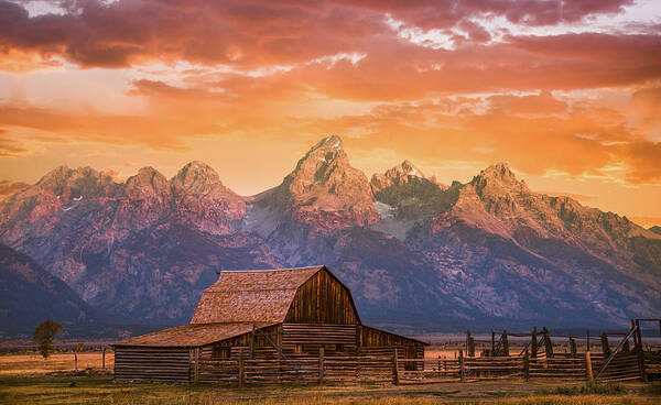 Grand Teton Poster featuring the photograph Sunrise on the Ranch by Darren White