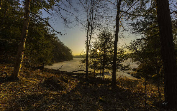 Redwood Poster featuring the photograph Sunrise Over Millsite by Everet Regal