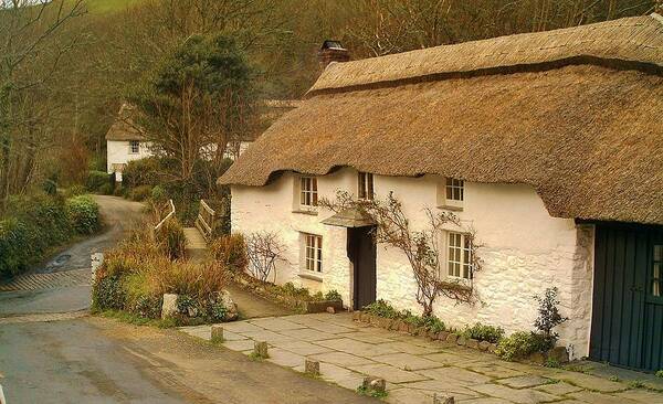 Thatched Cottage Poster featuring the photograph Thatched Cottage by Ford by Richard Brookes