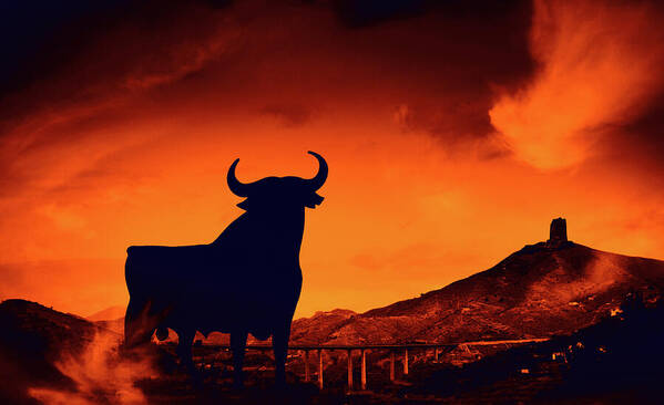 Bull Poster featuring the photograph Spanish by Tatiana Travelways