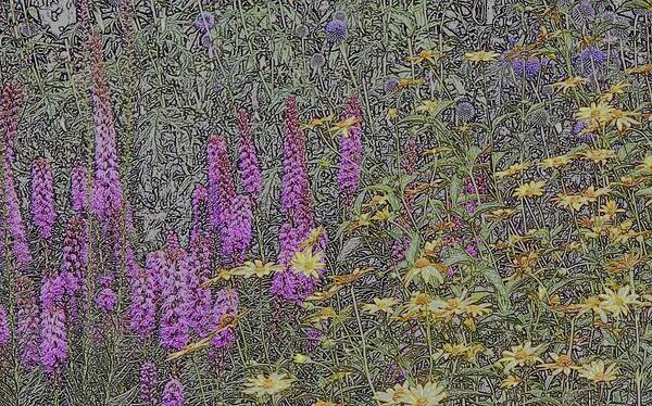 Lupines Poster featuring the photograph The Hill by Scott Heister