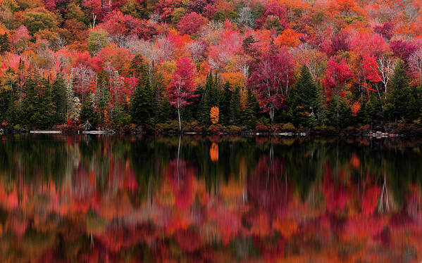 Fall Poster featuring the photograph The Reflection by Tim Kirchoff