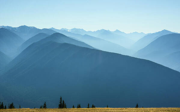 Hurricane Ridge Poster featuring the photograph The View From Hurricane Ridge by Ronda Broatch