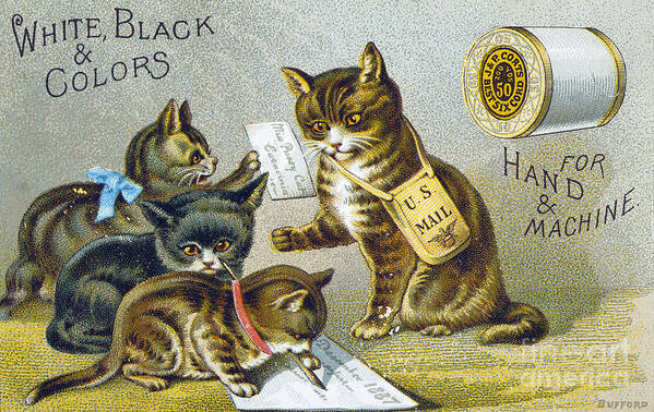 1880s Poster featuring the photograph Thread Trade Card, 1880 by Granger