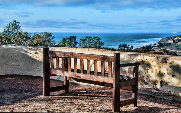 Torrey Pines Nature Preserve Poster featuring the photograph Torrey Pines View by Daniel Hebard