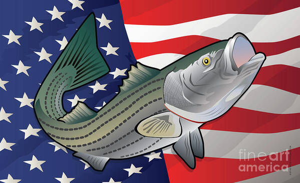 Rockfish Poster featuring the digital art USA Rockfish Striped Bass by Joe Barsin