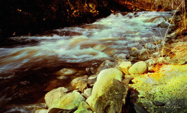 Vermont Brook Poster featuring the photograph Vermont Brook by Frank Wilson