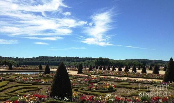 Gardens Poster featuring the photograph Versailles Palace Gardens by Therese Alcorn