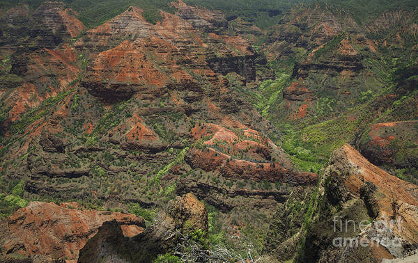 Amazing Poster featuring the photograph Waimea Canyon - Kauai by Peter French - Printscapes