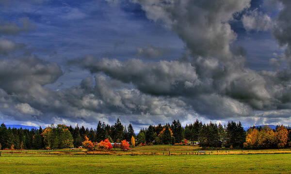 Photo Poster featuring the photograph Washington Landscape by David Patterson