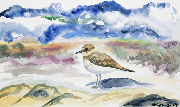 Double-banded Plover Poster featuring the painting Watercolor - Double-banded Plover on the Beach by Cascade Colors