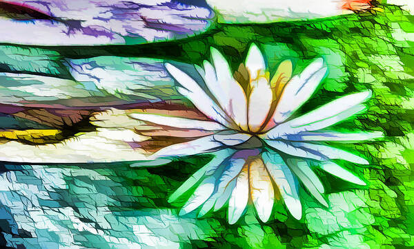 White Lotus In The Pond Poster featuring the painting White Lotus in the pond by Jeelan Clark