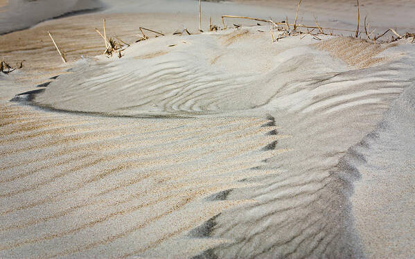 Dunes Poster featuring the photograph Wind Art by Joni Eskridge