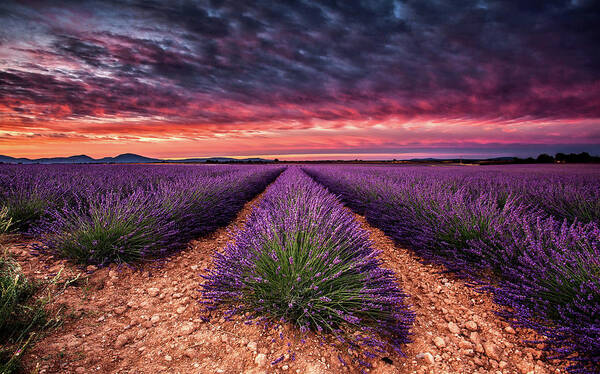 Landscape Poster featuring the photograph Wonderful World by Jorge Maia