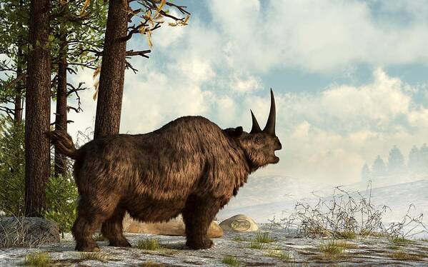 Animal Poster featuring the digital art Woolly Rhino by Daniel Eskridge