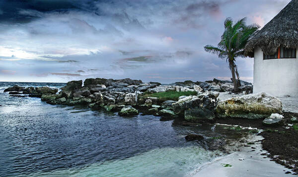 Tulum Beach Poster featuring the photograph Zamas Beach #8 by David Chasey