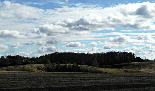 Country Autumn Curves Poster featuring the photograph Country Autumn Curves 3 by Cyryn Fyrcyd