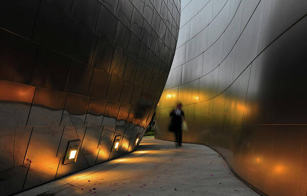 People Poster featuring the photograph Disney Concert Hall #1 by Mitch Diamond