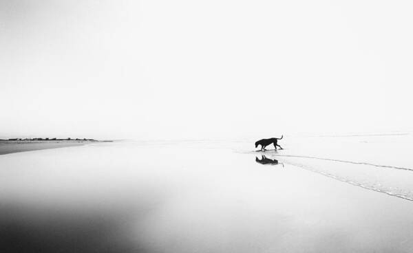 Bretagne Poster featuring the photograph Life's A Beach #1 by Karen Van Eyken