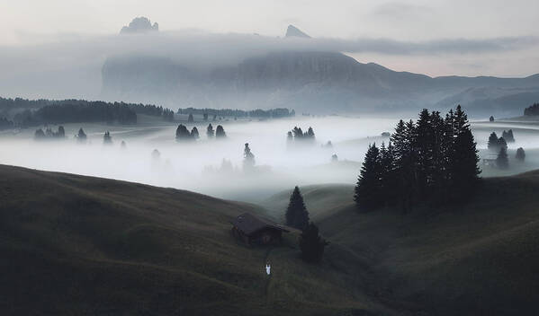 Landscape Poster featuring the photograph A Mystical Morning by Ales Krivec