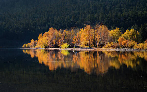 Seasons Poster featuring the photograph Autumn Days by Theresa Tahara