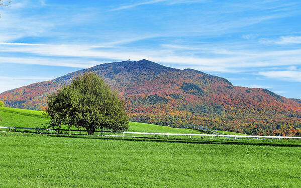 Autumn Poster featuring the photograph Autumn View Vermont by Tim Kirchoff