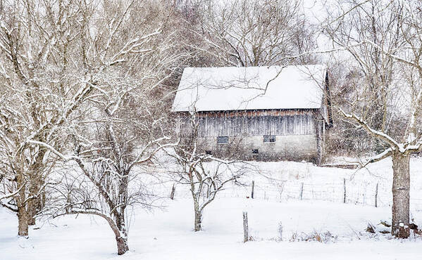 Barn Poster featuring the photograph Barn in the Snow #2608 by Susan Yerry