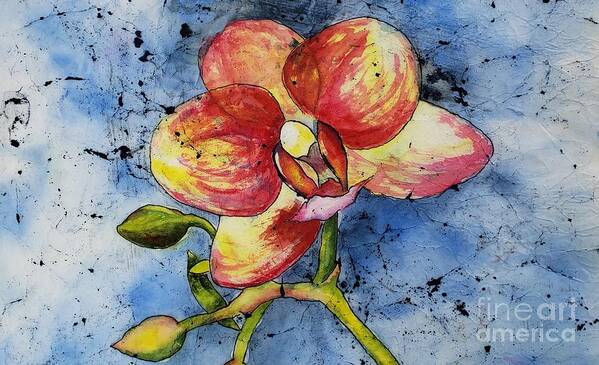 Orchid Poster featuring the photograph Batik orchid by Lisa Debaets